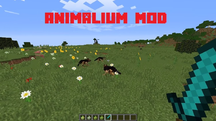 animalium-mod | 24hMinecraft.com